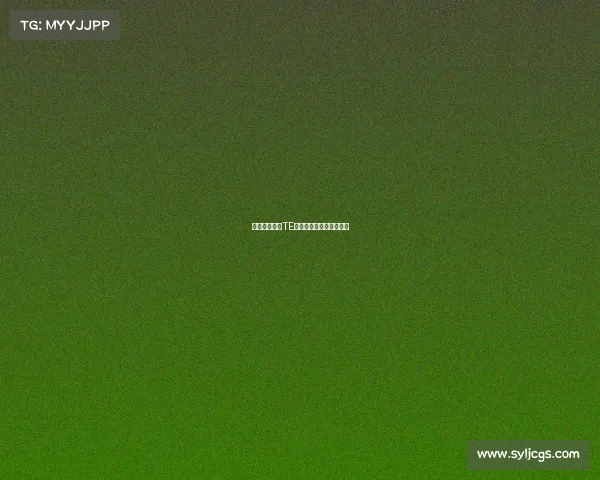 中国电竞劲旅TE战队:崛起中的本土力量 中国电竞劲旅TE战队:崛起中的本土力量